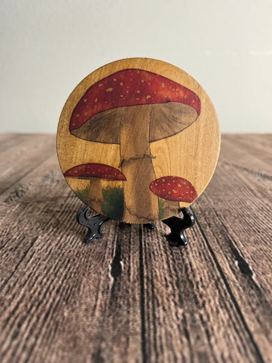 Mushrooms Coaster